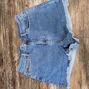 Judy Blue XL Denim Shorts